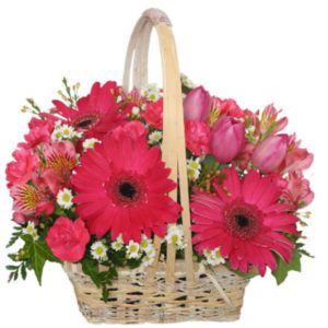 BEST WISHES BASKET