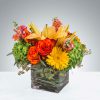 Citrus Splash by Luv It
