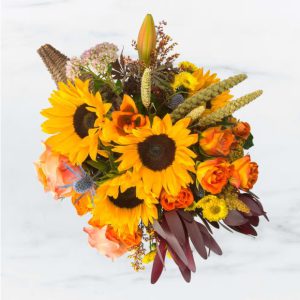 Cornucopia Utopia by Luv It