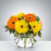 Dazzling Daisy Bowl by Luv It