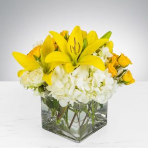 Kiss of the Sun by Luv It