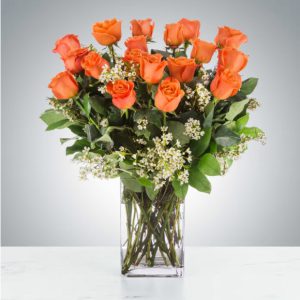Long Stem Coral Roses by Luv It