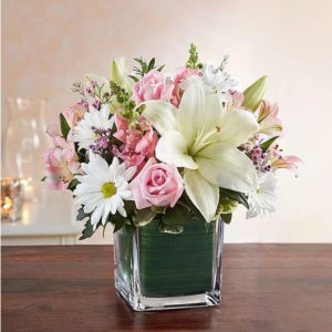 Pink And White Delight