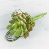 Succulent Boutonnière by Luv It