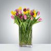 Tulip Mania by Luv It
